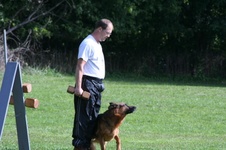Enlarge photo 129