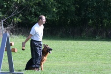 Enlarge photo 131