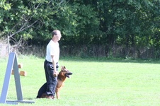 Enlarge photo 134