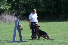 Enlarge photo 136