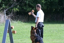 Enlarge photo 137