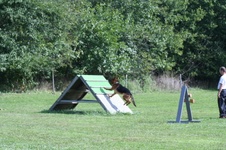 Enlarge photo 149