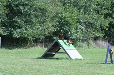 Enlarge photo 151