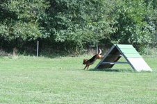 Enlarge photo 153