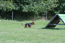 Enlarge photo 156