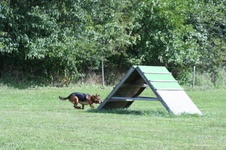 Enlarge photo 158