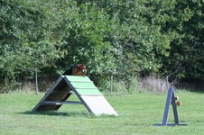 Enlarge photo 162