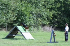 Enlarge photo 165