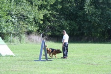 Enlarge photo 169