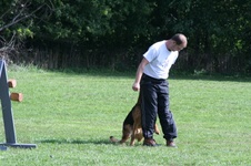 Enlarge photo 174