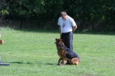 Enlarge photo 176