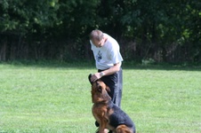 Enlarge photo 178