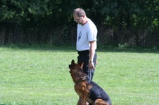 Enlarge photo 180