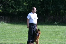 Enlarge photo 182