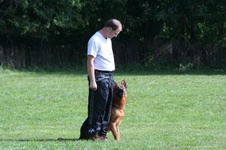 Enlarge photo 183