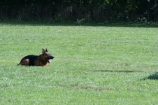 Enlarge photo 186
