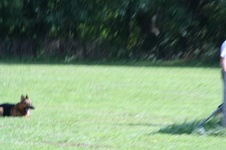 Enlarge photo 188