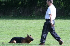 Enlarge photo 199