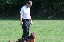 Enlarge photo 200