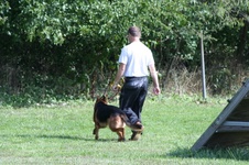Enlarge photo 201