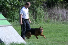Enlarge photo 202
