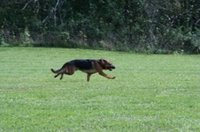 Enlarge photo 203