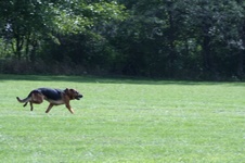Enlarge photo 204