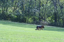 Enlarge photo 206