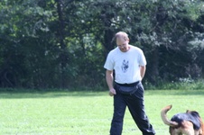 Enlarge photo 217