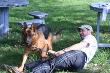 Enlarge photo 229