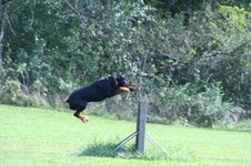 Enlarge photo 233
