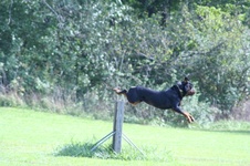 Enlarge photo 234