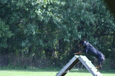 Enlarge photo 236