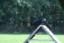 Enlarge photo 237