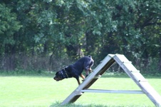 Enlarge photo 238