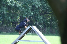 Enlarge photo 239