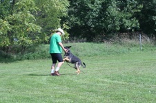 Enlarge photo 248