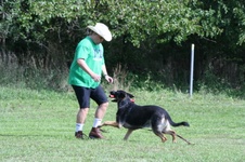 Enlarge photo 249