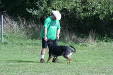 Enlarge photo 250