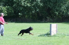 Enlarge photo 252