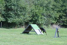 Enlarge photo 256