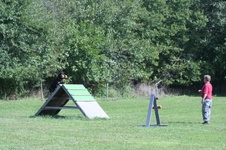 Enlarge photo 258