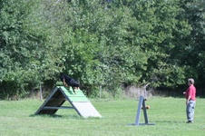 Enlarge photo 259