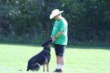 Enlarge photo 264