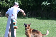 Enlarge photo 268