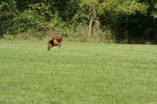 Enlarge photo 271