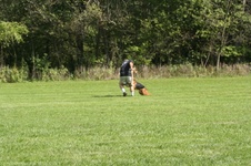 Enlarge photo 274