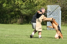 Enlarge photo 16