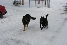 Enlarge photo 4