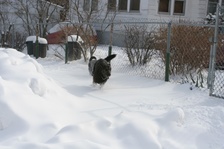 Enlarge photo 11